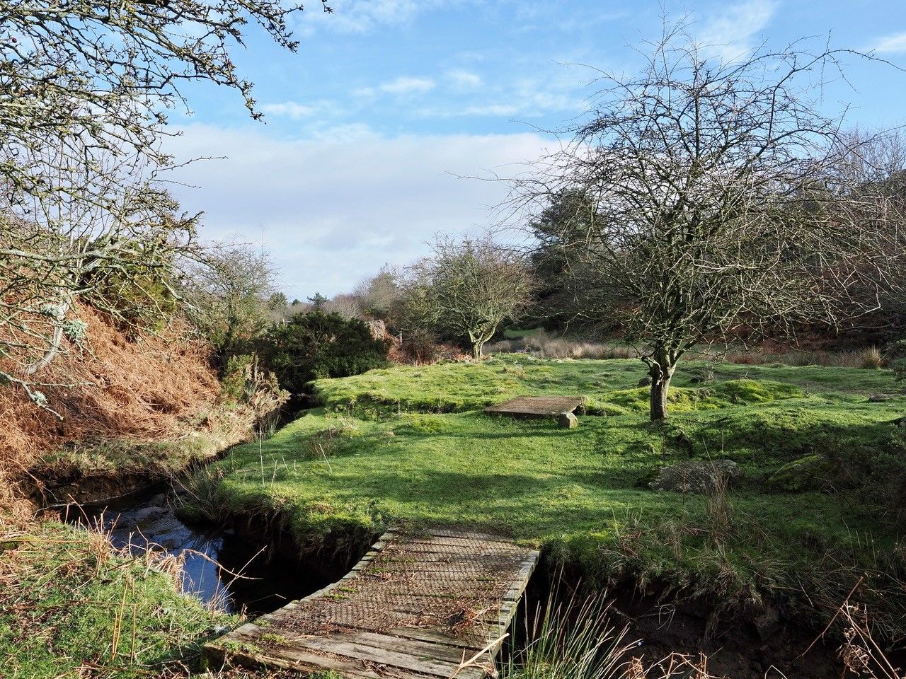 Hedleyhope Fell
